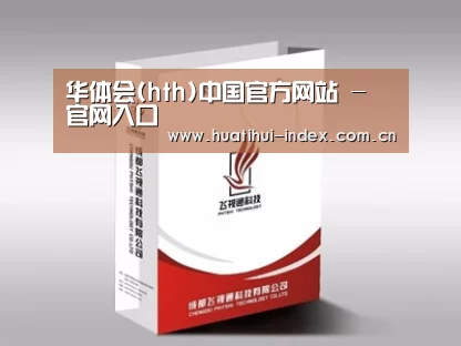 项目名称十三