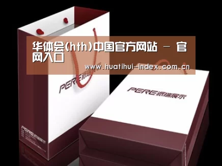 项目名称十二