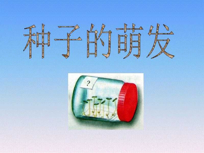 华体会官网